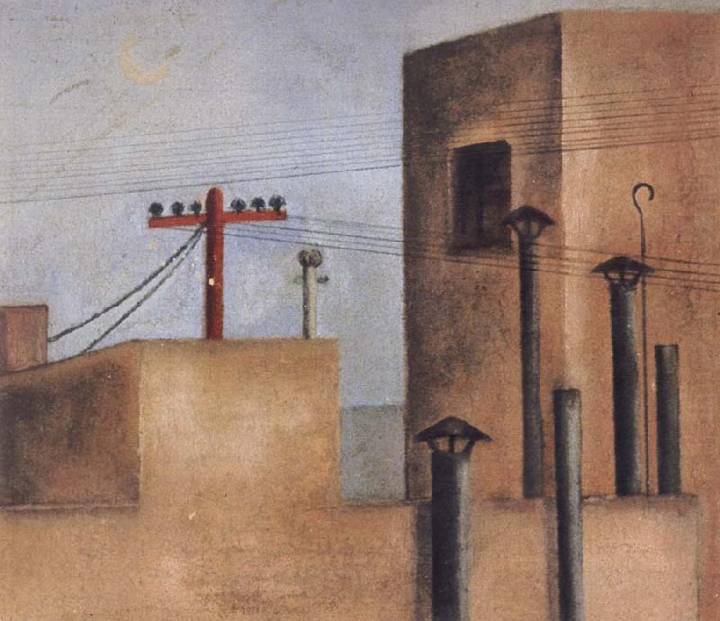 After Fride left the Red Cross Hospital,she painted a cityscape of a small,stark rooftop view.On one of the buildings she painted a red cross, Frida Kahlo